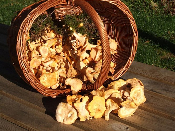 rix-mill-Photographie-Max-McClure