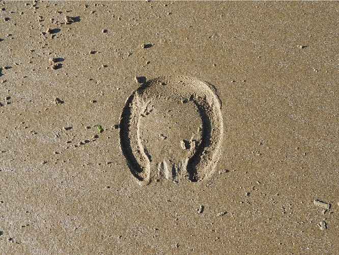 JOALLAND ÉQUITATION