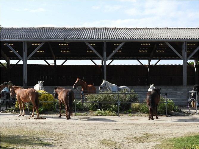 JOALLAND ÉQUITATION