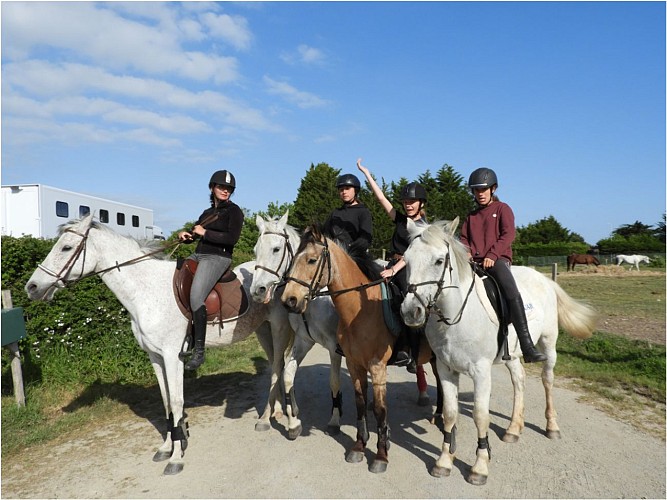 JOALLAND ÉQUITATION