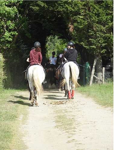 JOALLAND ÉQUITATION