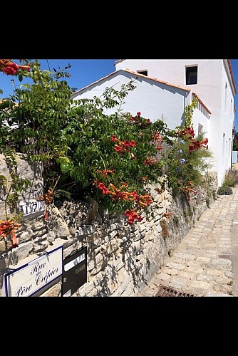 MAISON DE VACANCES AU VIEIL À NOIRMOUTIER EN L'ILE
