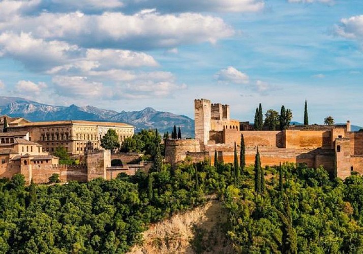 Visite guidée privée en français de l'Alhambra à Grenade - Avec transport en train inclus depuis Séville