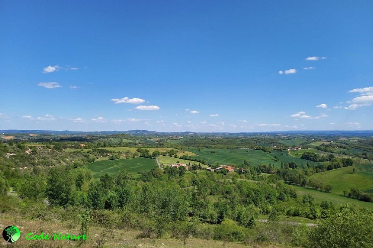 Panorama sur les monts d'Alban