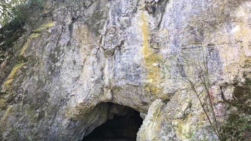 Grotte du Coléoptère