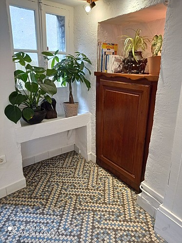 L'île Margot intérieur