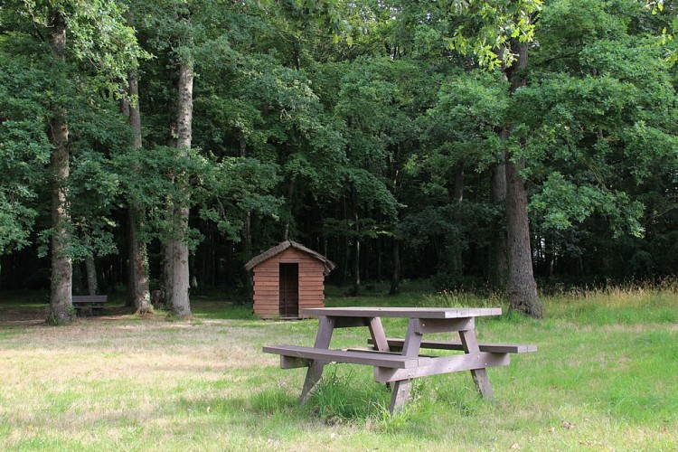 AIRE DE JEUX - ÉTANG DE LA SAVINAIS