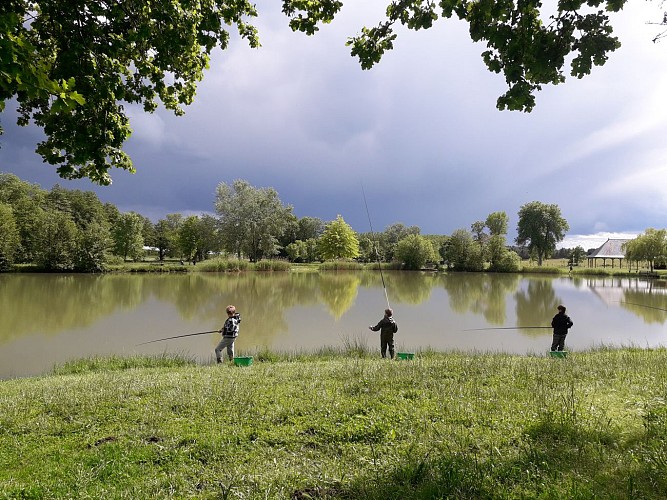 Étang de pêche de la Louisière