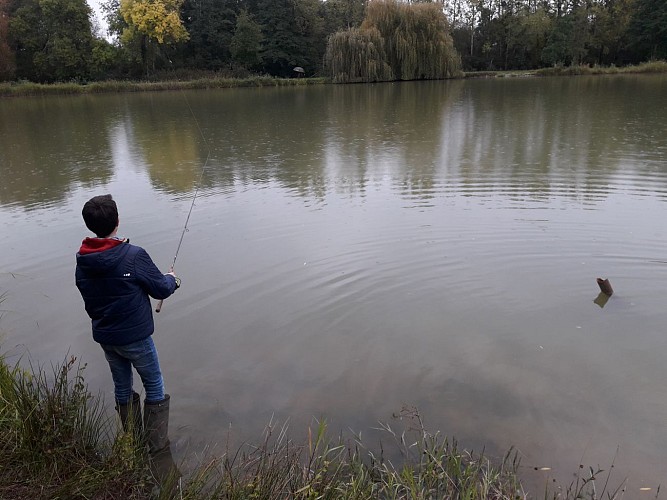 Étang de pêche de la Louisière