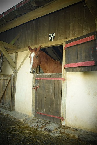 DOMAINE DE LA FERTÉ CLAIRBOIS