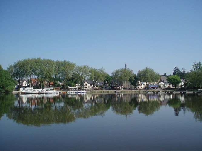 Le Port / Base Nautique - SUCÉ-SUR-ERDRE