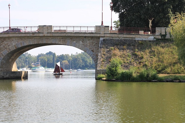 Le Port / Base Nautique - SUCÉ-SUR-ERDRE