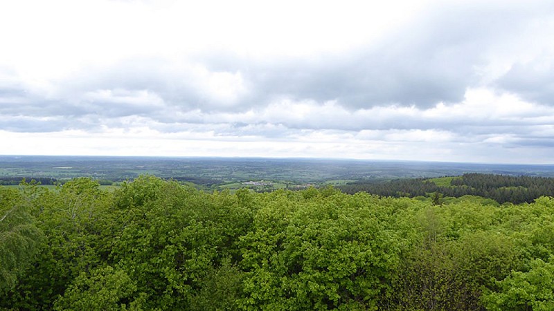 Vue du haut de la tour