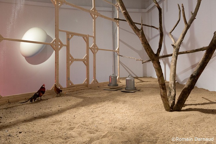 Centre d'Art Contemporain Rurart