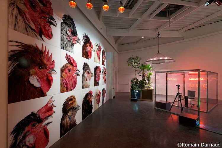 Centre d'art contemporain Rurart_5