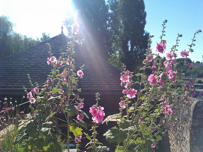 Église Saint-Jean-Baptiste_3