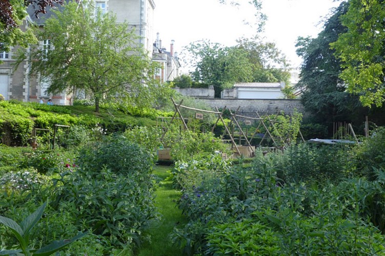 Jardin des Plantes_3