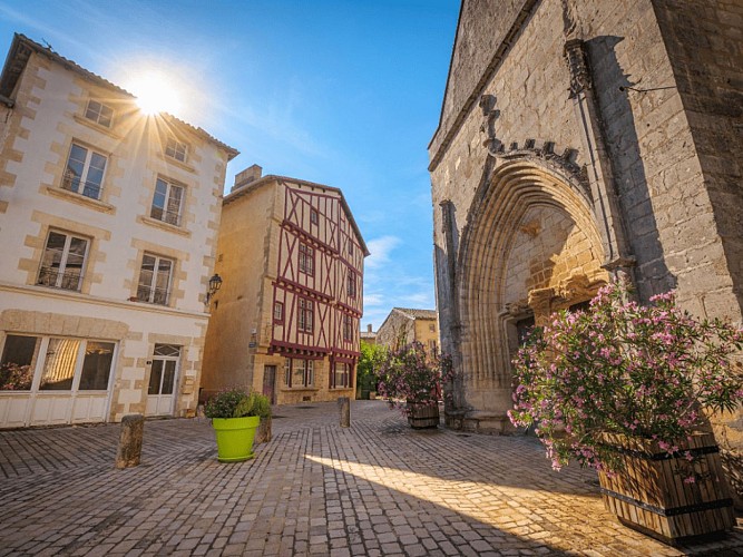 Design sans titre - 1