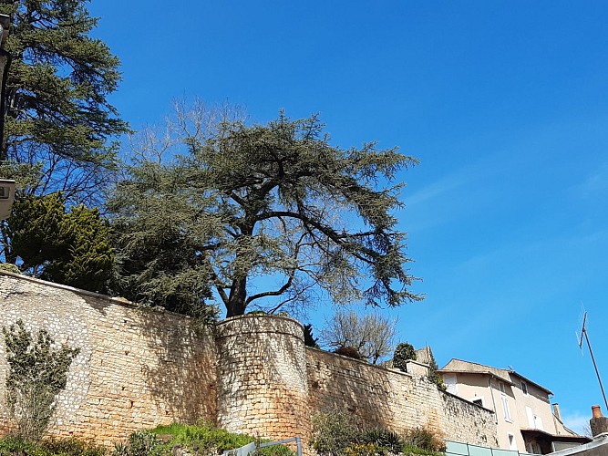 La Cité Historique de Lusignan_7