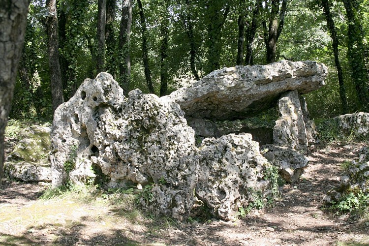 Dolmen d'Arlait_1