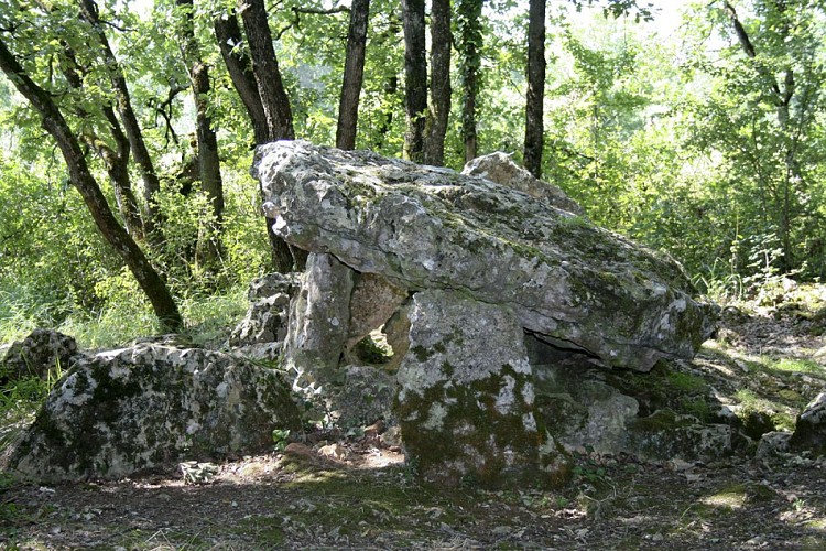 Dolmen d'Arlait_2