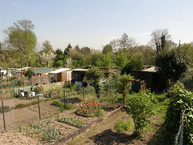 Allotments or family (Jardins ouvriers ou familiaux)