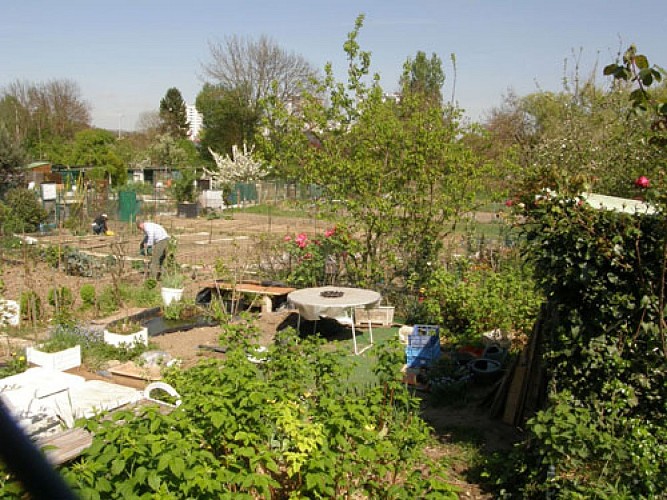 Allotments or family (Jardins ouvriers ou familiaux)