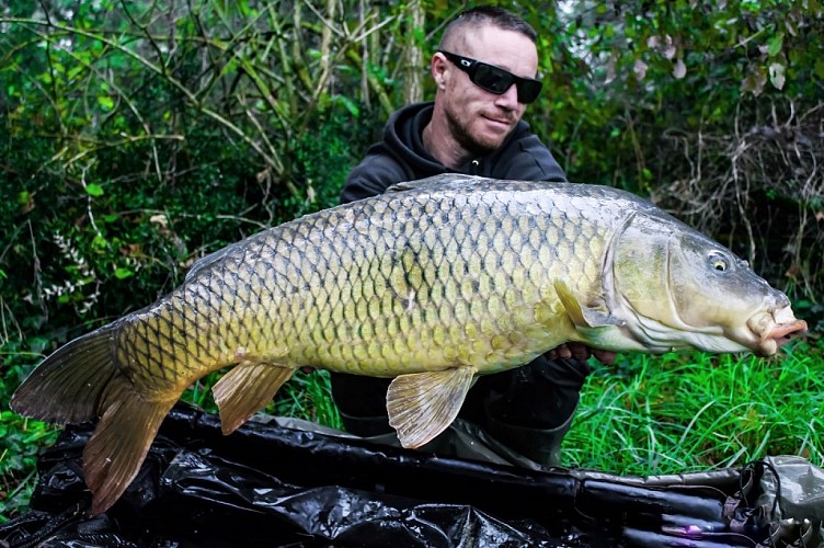 Carpe commune - Mathieu MVS - Adour et étang