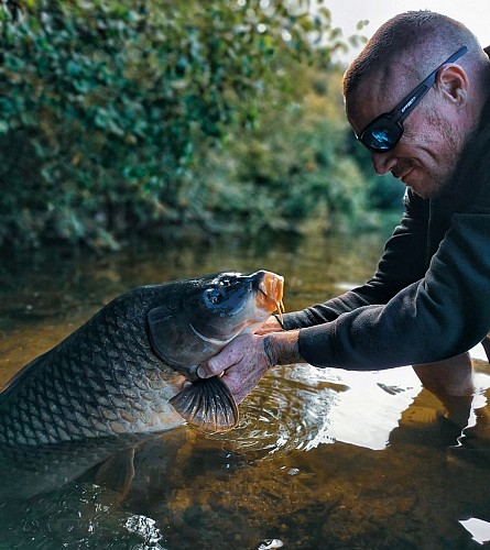 Carpe miroir - Adour et lac - Mathieu MVS