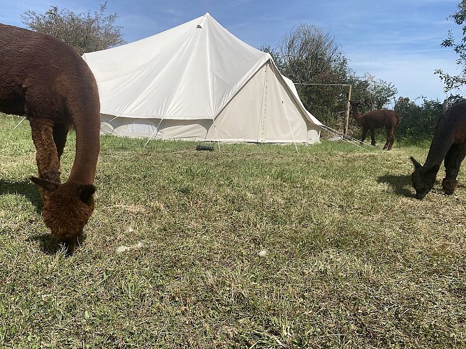 argentonnay-glamping@la-petite-ferme