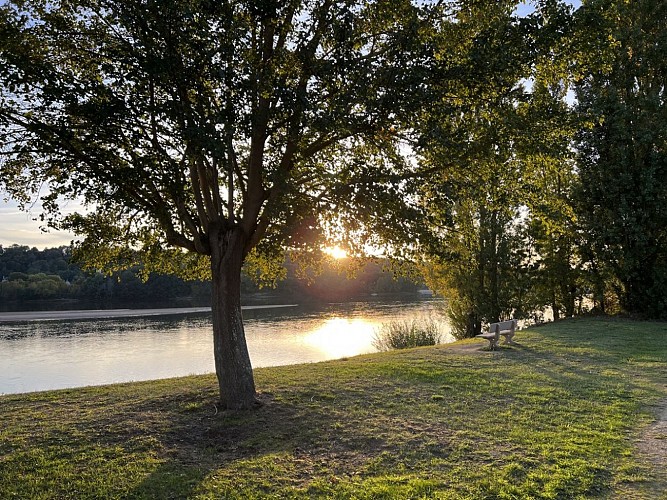Guinguette La Toue Cabanée