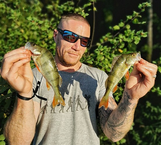 mathieu MVS - pêche perche carnassier - Adour et plan d'eau