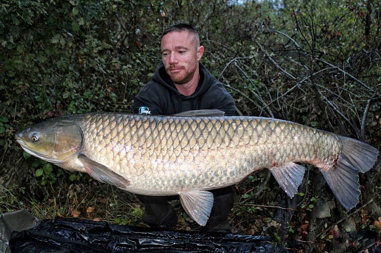 Amour blanc ou carpe amour - Mathieu MVS - Adour