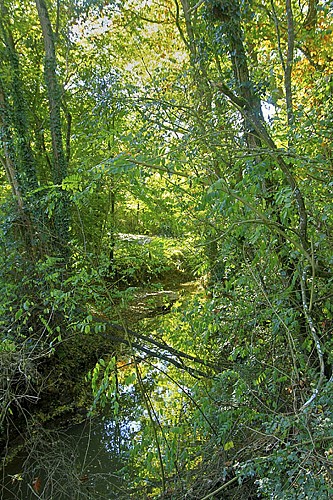 Etape 1 - de La Roche-sur-Yon à Venansault - 7,7 km
