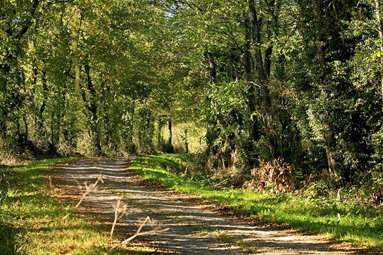 Etape 1 - de La Roche-sur-Yon à Venansault - 7,7 km