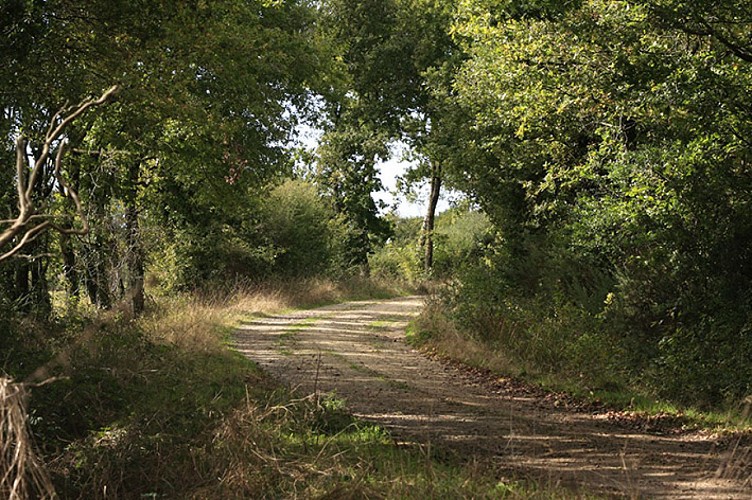Etape 1 - de Venansault à Landeronde - 6,3 km