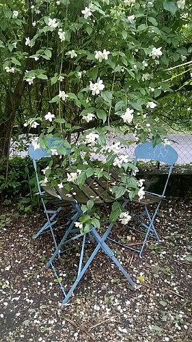 chambre-dhotes-Besselièvre-Montpon-jardin-chaises