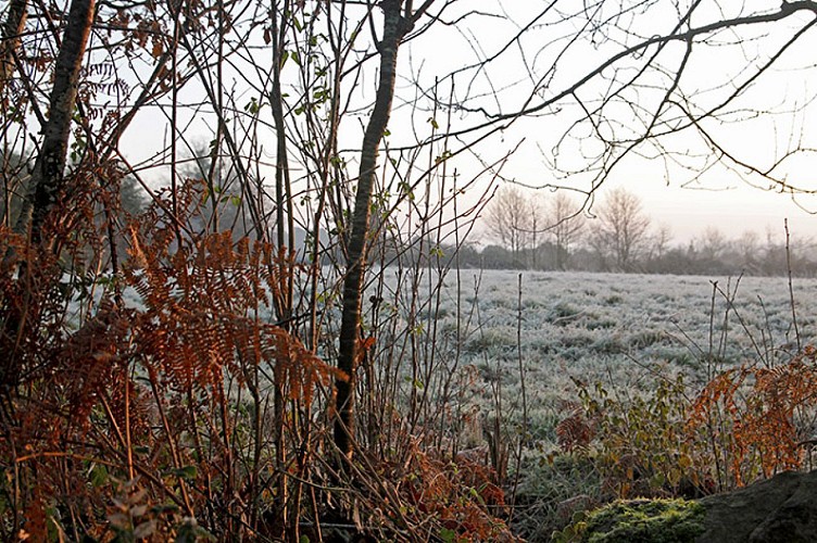 Etape 2 - de Martinet à La Chapelle-Hermier – 7,2 km