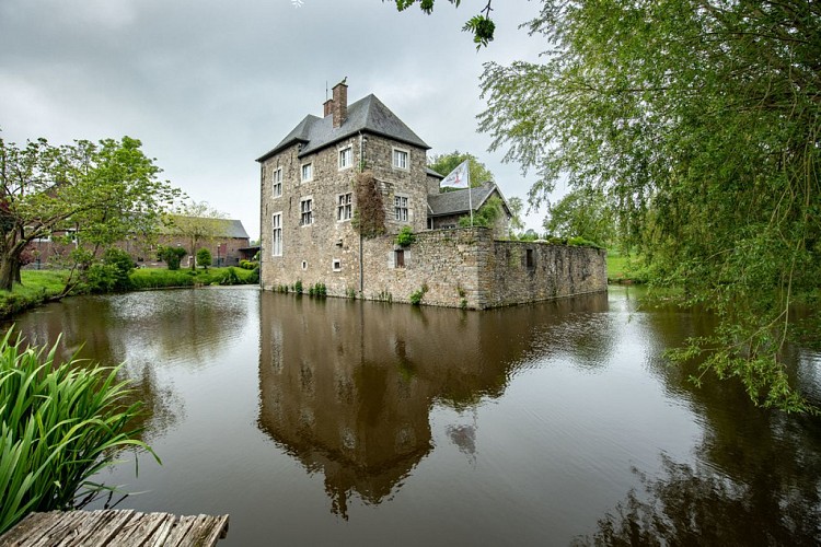 Le château de Vieljaren