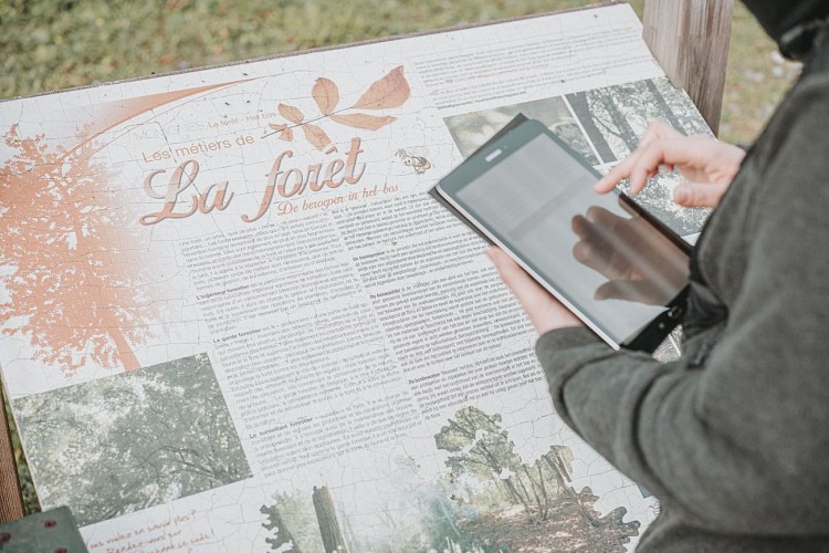 Totemus à Momignies