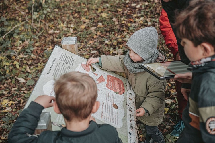 Totemus à Momignies