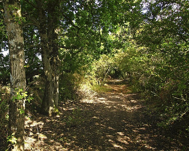 Etape 3 - de La Chaize-Giraud à la Goronière (Brétignolles-sur-Mer) – 6,6 km