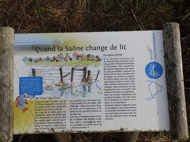 [Sentier Gall'eau romain] Panneau thématique N°2 : Les grandes prairies inondables du val de Saône