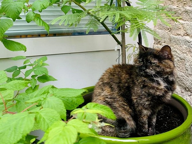 jardinet-bougy-beau-virage