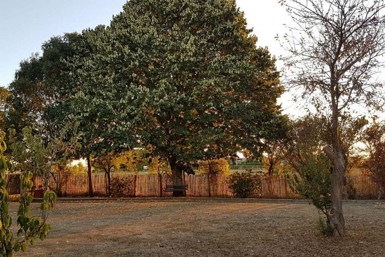 NOROIT - ENTRE BOCAGE ET MER