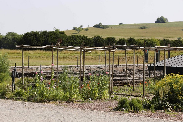 Jardin Gallo-Romain