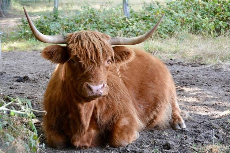 Parc animalier des Clautres