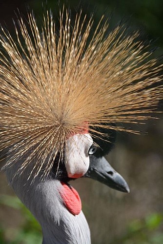 Parc animalier des Clautres
