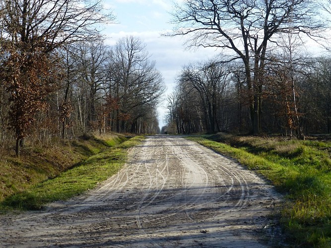 image du object