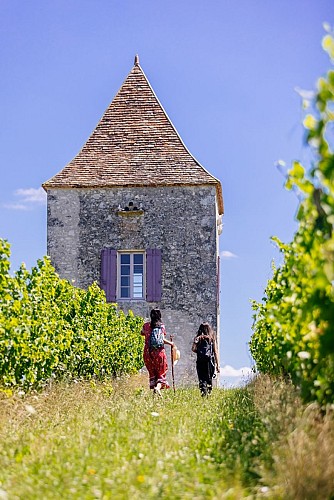 pigeonnier-saint-astier-lot-et-garonne-les-conteurs-24